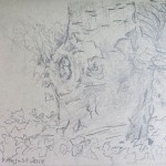 IMG_0653