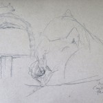 IMG_0662