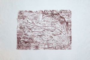 IMG_1852