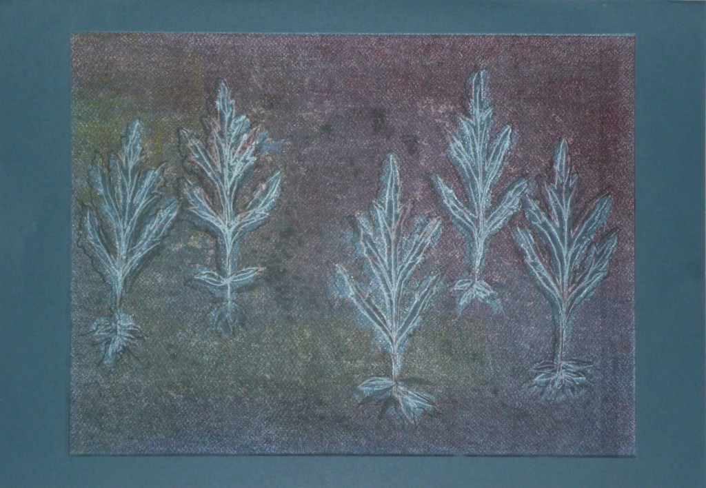 P1080262