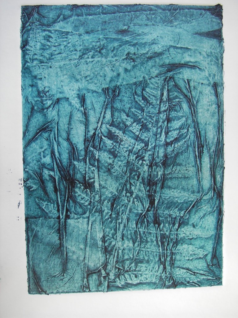 Julie Howe XXXX Experimental print with fern