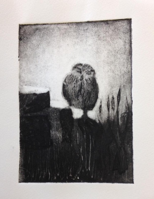 Bryce's little owl