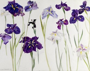 Elizabeth Blackadder 2010 Irises